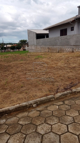 Imagem 1 de 2 de Terreno - Jardim Elizabete - Ref: 33978 - V-33975