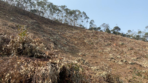 Imagem 12 de 14 de 34ei Terreno Igaratá Com Entrada Apenas De $ 5 Mil