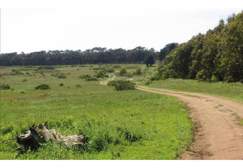 Imagen 5 de 15 de Vende Terrenos, Ritoque. Proyecto Altos De Bosquemar, Ritoqu