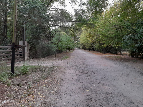 Venta De Casa Quinta En Cañuelas B° Peluffo