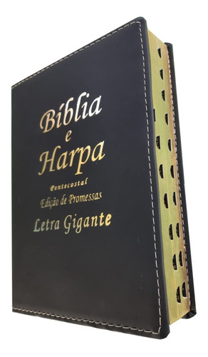 Bíblia Sagrada Letra Média Harpa Feminina E Masculina 16 Cm