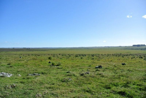 Campo En Venta En Varela