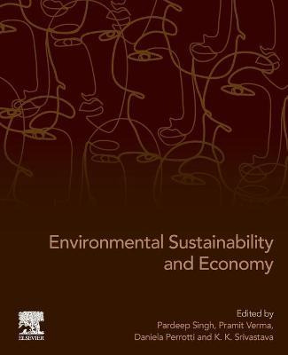 Libro Environmental Sustainability And Economy - Pardeep ...