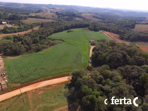 Imagem 13 de 14 de Terreno - Serrinha - Ref: 147 - V-147
