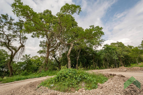 Imagen 19 de 25 de Vendo Terreno En El Retiro - San Lorenzo