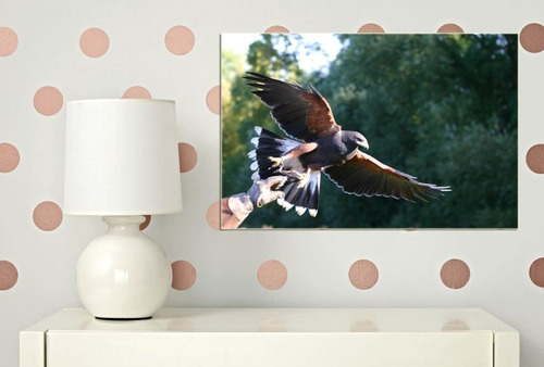 Vinilo Decorativo 40x60cm Pajaros Aves Aguilas Monte M1