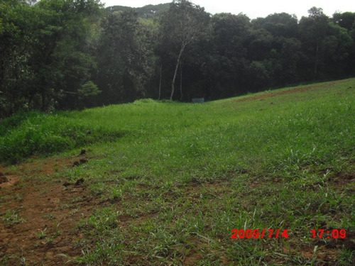 Imagem 11 de 13 de 4 Terrenos No Bairro Do Cupim