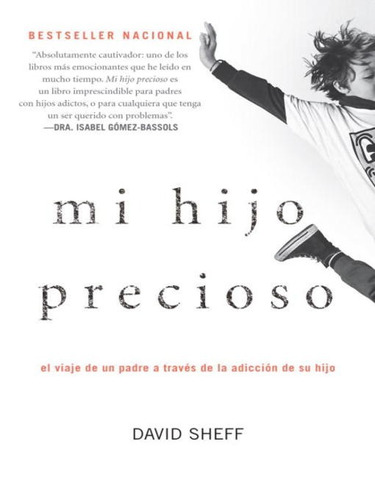 Mi Hijo Precioso - David Sheff