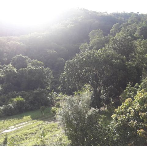 Cimap Vendo Casa En Colinas De Guataparo