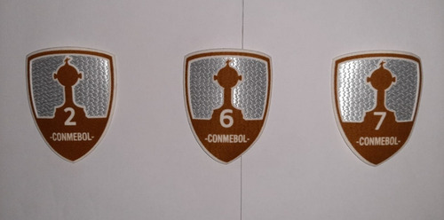 Parches Copa Libertadores 2019 Y 2020