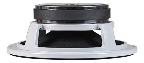 Alto Falante Médio Snake Esv610 10 Polegadas 300 Rms 8 Ohms