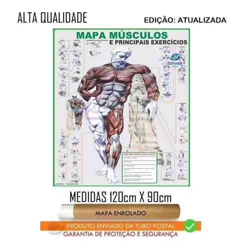 Treino Mês 2 PDF, PDF, Anatomia humana