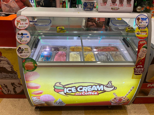 Nevera Exhibidora De Helado 9 Sabores Con Bandejas Incluidas