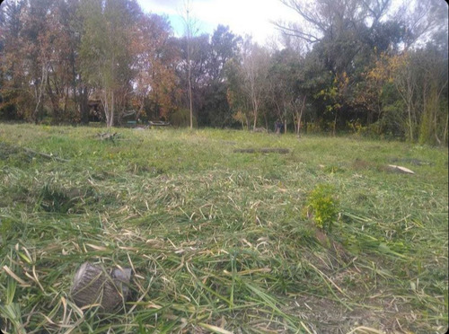 Imagen 7 de 10 de Venta Lote Sección Primera Isla Del Delta Tigre