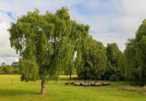 Parcela En Hacienda Aguas Del Maullin