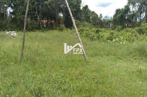 Imagem 3 de 4 de Terreno Lado Praia A 1200 Metros Do Mar Itanhaém - Ter058