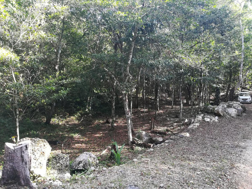 Lote Ecològico En Venta A 8 Minutos De La Estación Del Tren Maya Coba-tulum (1288)