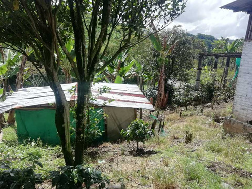 Imagen 4 de 30 de Vendo Finca En Avenida Condina Precio De Oportunidad