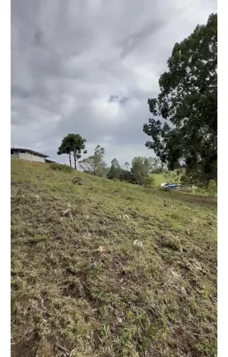 Lote Independiente Rionegro Vereda Ojo De Agua