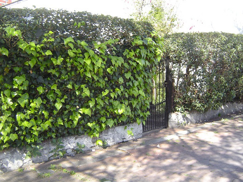 Floresta Hollywood.. Entorno Soñado De Grandes Casas