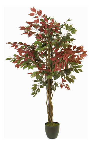 Árbol Ficus 150 Cm Ambiente Living