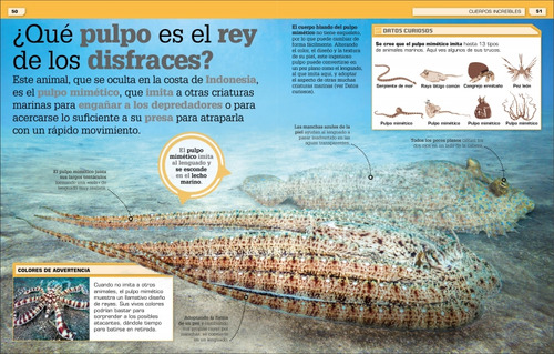 Ãâ¡increãâble Pero Cierto! Animales, De Varios Autores,. Editorial Dk, Tapa Dura En Español