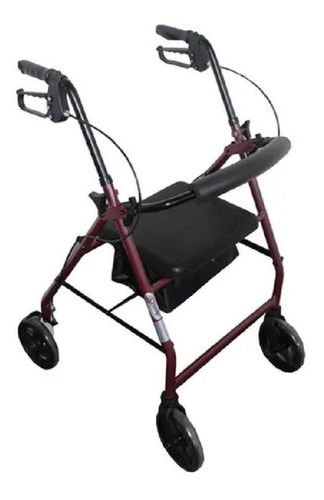 Andadera Rollator Aluminio Alta Resistencia Speedy