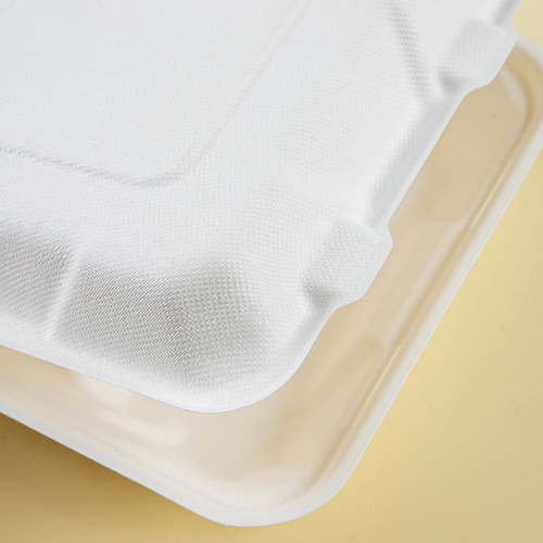 Contenedor Blanco De Caña De Azúcar 50pzs 8x8' Biodegradable