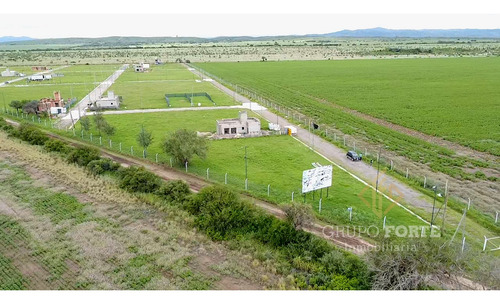 Imagen 13 de 26 de Terreno A La Venta En La Ernestina