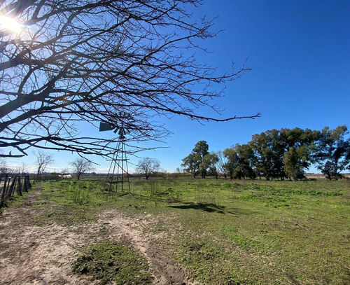 Terreno En Venta - 20.000mts2 - Mechita, Alberti
