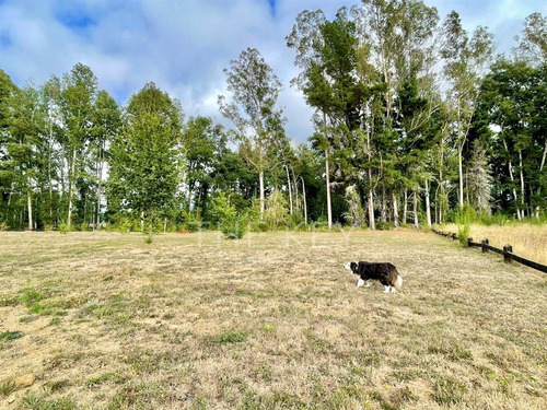 Casa En Arriendo De 3 Dorm. En Loncotraro, Villarrica.
