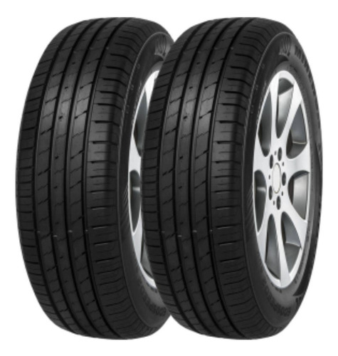 Kit Com 2 Pneus Aro 19 225/55 R19 99v Minerva Ecospeed 2