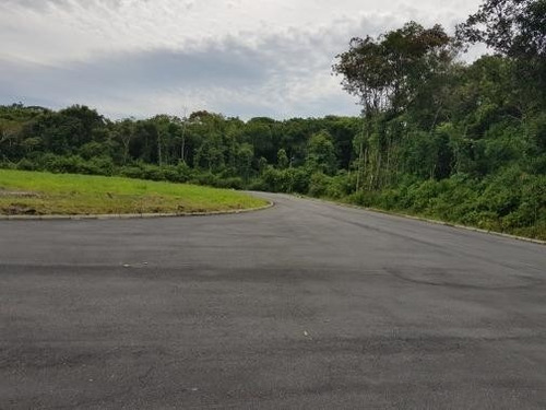 Imagem 20 de 21 de Área Industrial No Reta Com 0 Quartos Para Venda, 2255 M² - Ft255