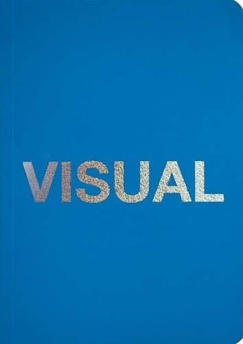 Visual (bolsillo) - Vv.aa. (papel)