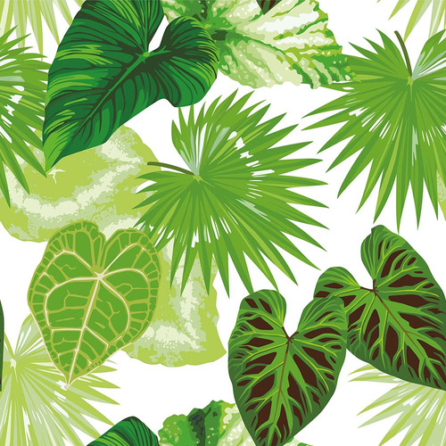 Papel De Parede Floral Com Folhas Tropicais Verdes 6m