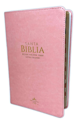 Biblia Reina Valera 1960 Letra Grande Rosa Con Indices