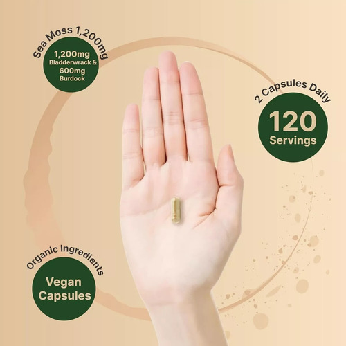 Complejo Sea Moss 3000mg X240u Raíz De Bardana Sin Sabor