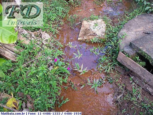 Imagem 6 de 19 de Chácaras Para Residir À Venda Em Mairiporã/sp - Compre O Seu Chácaras Para Residir Aqui! - 106886