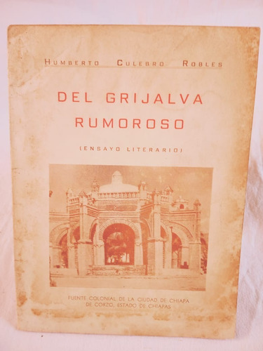 Del Grijalva Rumoroso Chiapas (03a2)