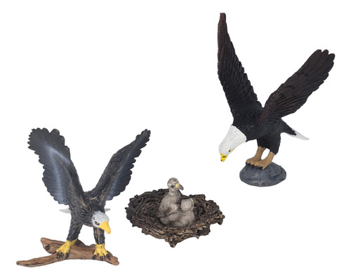 Figura De Águila Simulada, Lindo Pájaro Realista