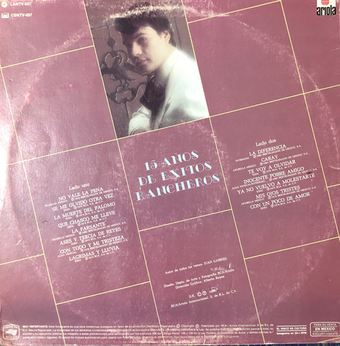 Juan Gabriel Lp. 15 Años De Éxitos Rancheros (Usado)