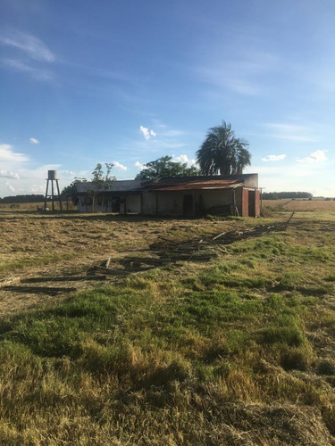 Imagen 4 de 15 de Campo Ganadero 232 Hectáreas (90 Hectáreas Son De Soja) .ruta 9