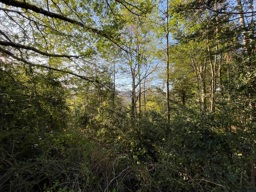Parcela En Caburgua, Pucón