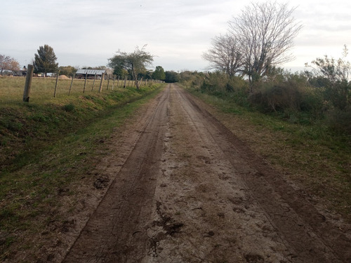 Imagen 2 de 7 de Campo En Escalada 1,6 Hectáreas