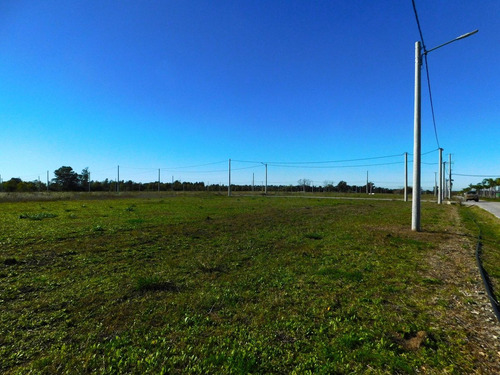 Venta Lote En El Lazo En Exaltacion De La Cruz