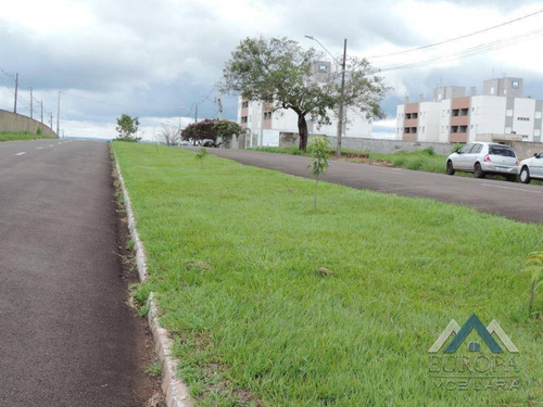 Imagem 7 de 9 de Terreno À Venda, 450 M² Por R$ 280.000,00 - Columbia - Londrina/pr - Te0545