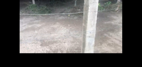 Imagem 3 de 7 de Terreno