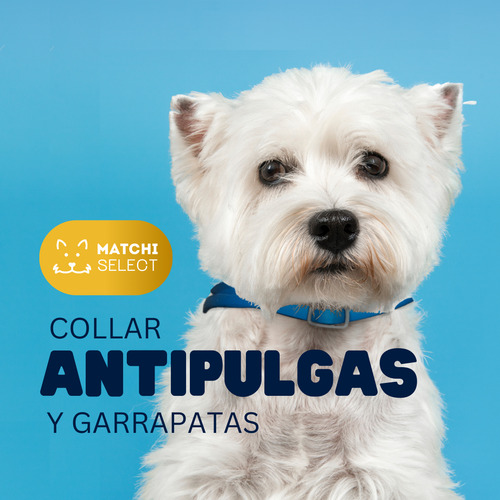 2pack Collar Antipulgas Premium