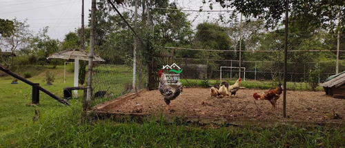 Imagem 10 de 30 de Casa Com 3 Dorms, Area Rural, Pedro De Toledo - R$ 500 Mil, Cod: 821 - V821
