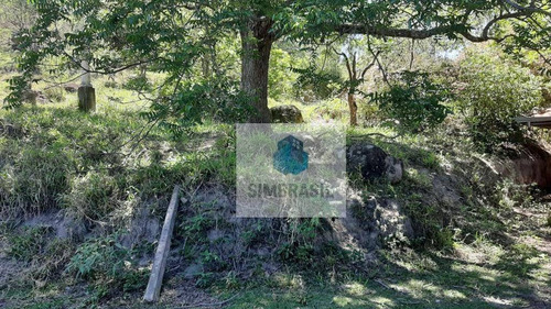 Imagem 10 de 18 de Chácara Em Joaquim Egídio - Ch0039